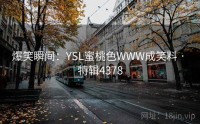 爆笑瞬间：YSL蜜桃色WWW成笑料 · 特辑4378