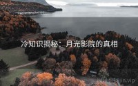 冷知识揭秘：月光影院的真相