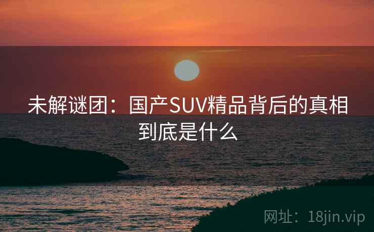 未解谜团：国产SUV精品背后的真相到底是什么