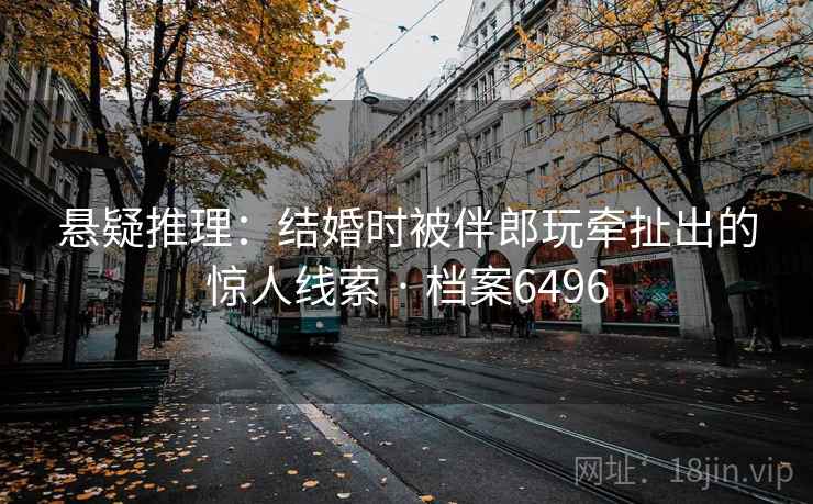 悬疑推理：结婚时被伴郎玩牵扯出的惊人线索 · 档案6496