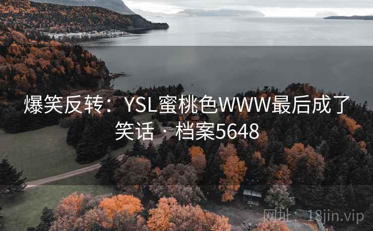 爆笑反转：YSL蜜桃色WWW最后成了笑话 · 档案5648