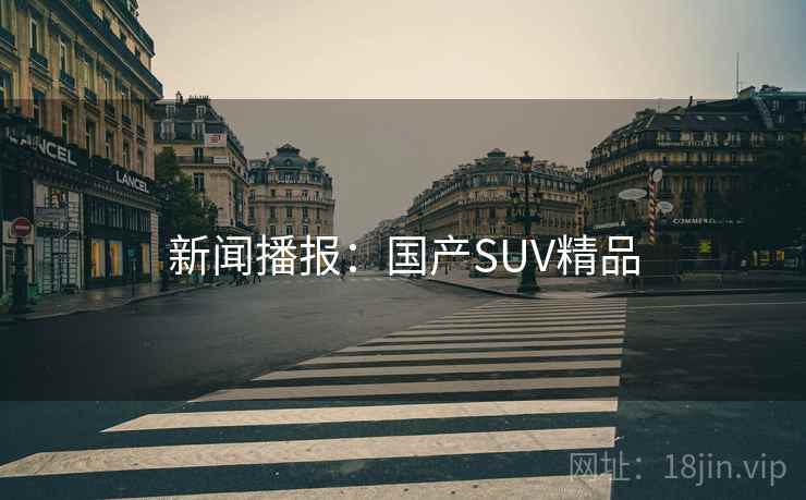 新闻播报：国产SUV精品