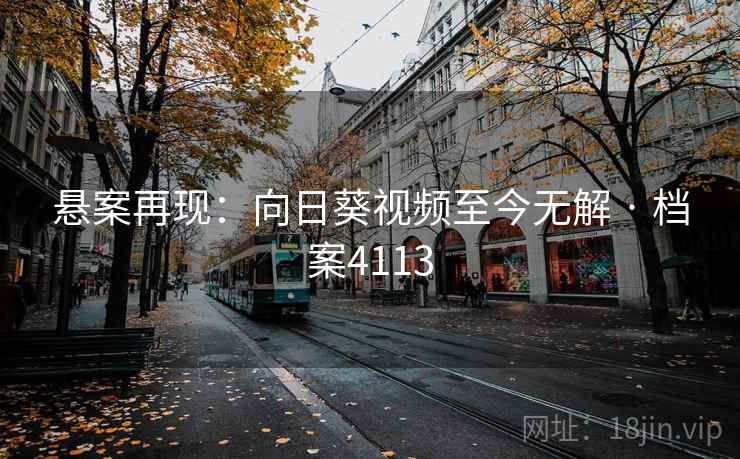 悬案再现：向日葵视频至今无解 · 档案4113