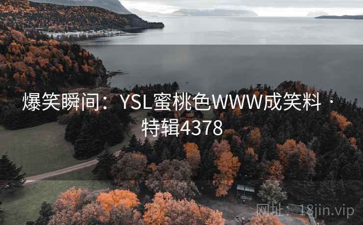 爆笑瞬间：YSL蜜桃色WWW成笑料 · 特辑4378